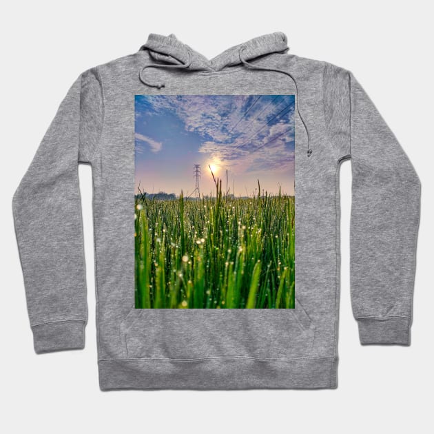 Sunrise And Morning Dew Hoodie by Rhasani Tong Go